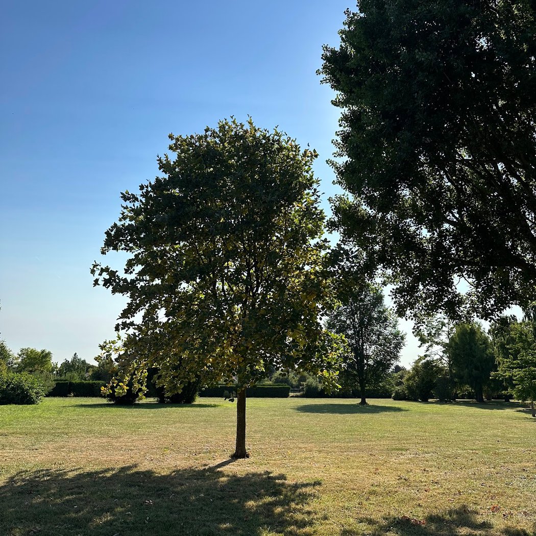 Parc du Douaire 3